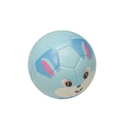Sponge handball