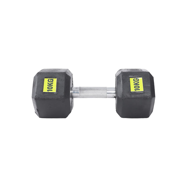 Nickel dumbbell 10 kg