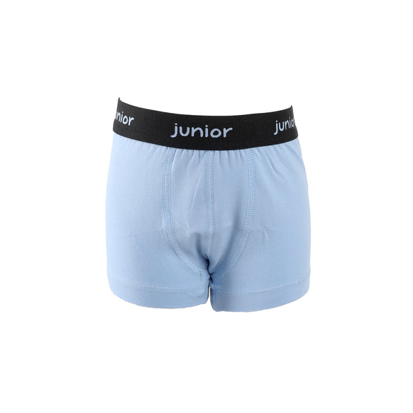 Boys' Boxer Shorts Model 124 E