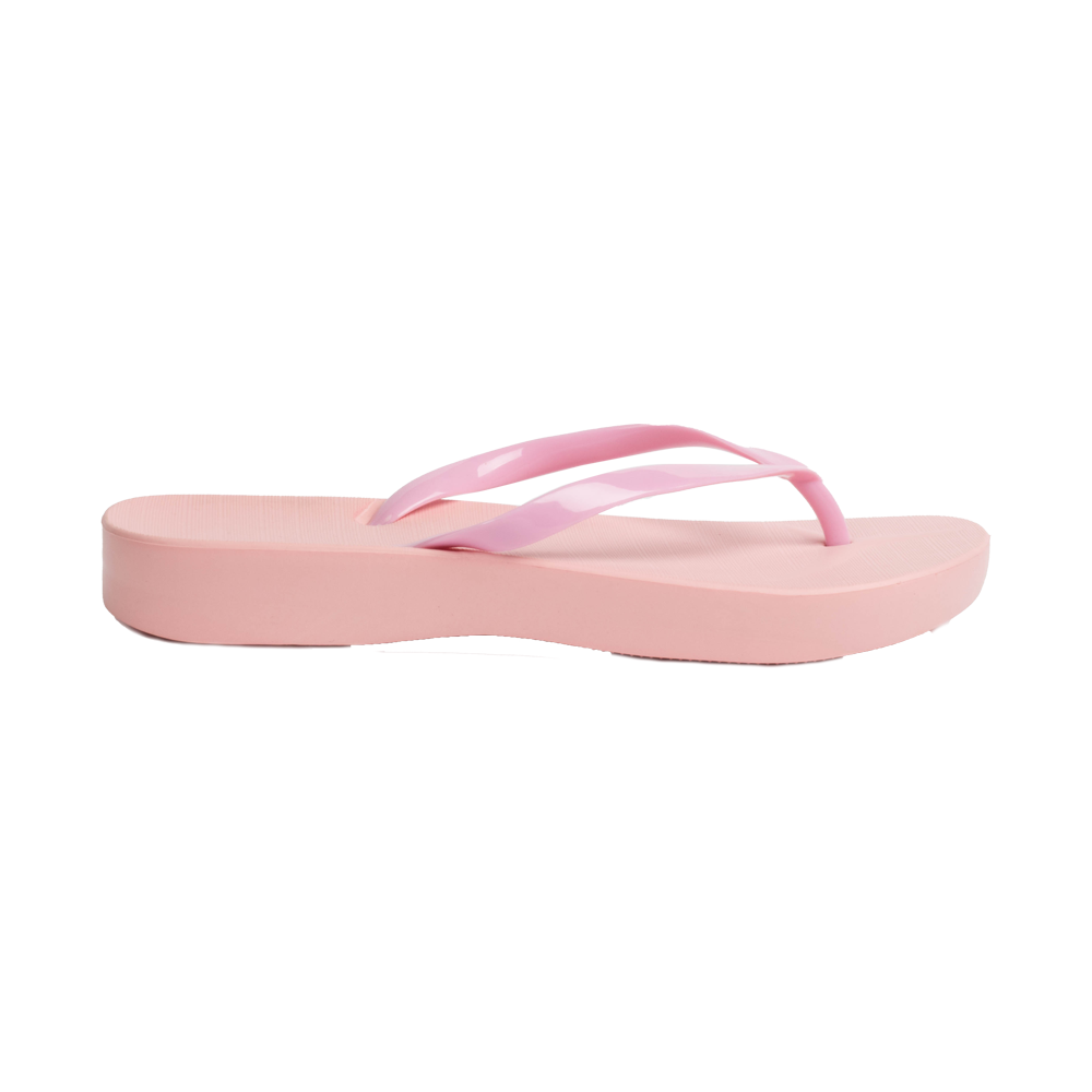 Flamingo 